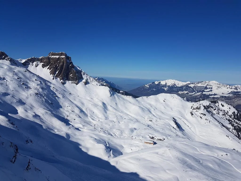 BG Trossingen | © BG Trossingen