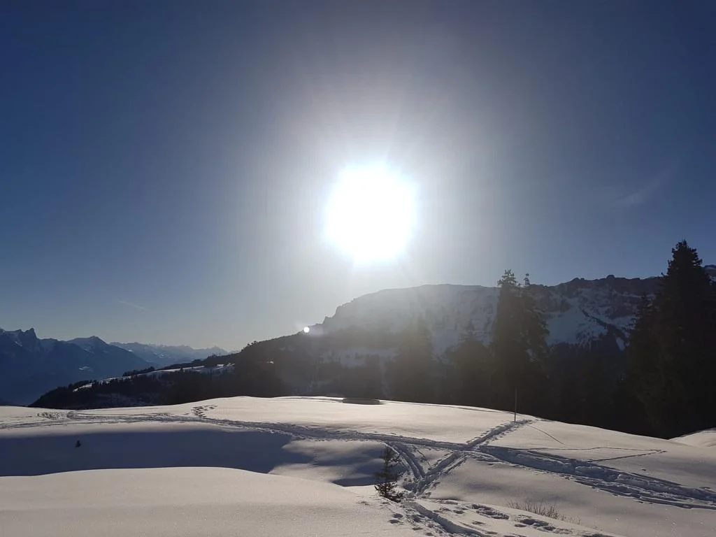 BG Trossingen | © BG Trossingen