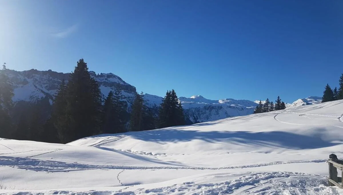 BG Trossingen | © BG Trossingen