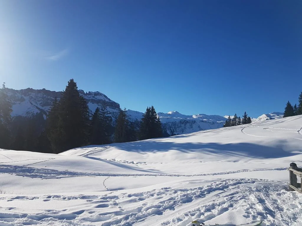 BG Trossingen | © BG Trossingen