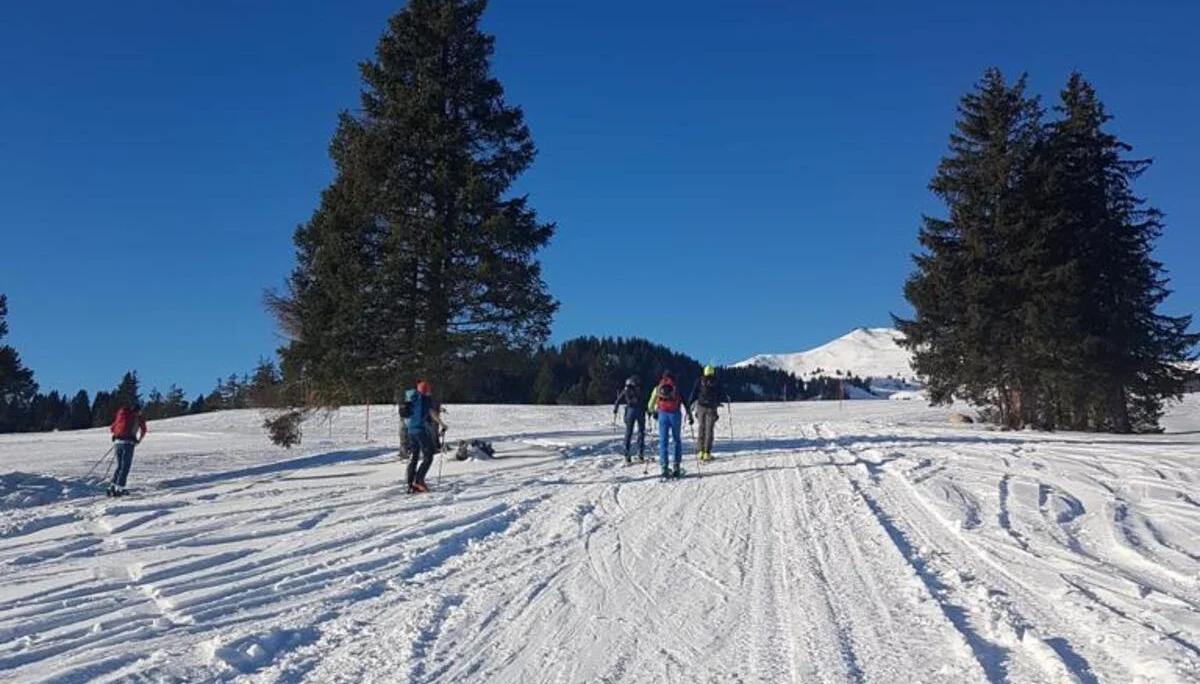 BG Trossingen | © BG Trossingen