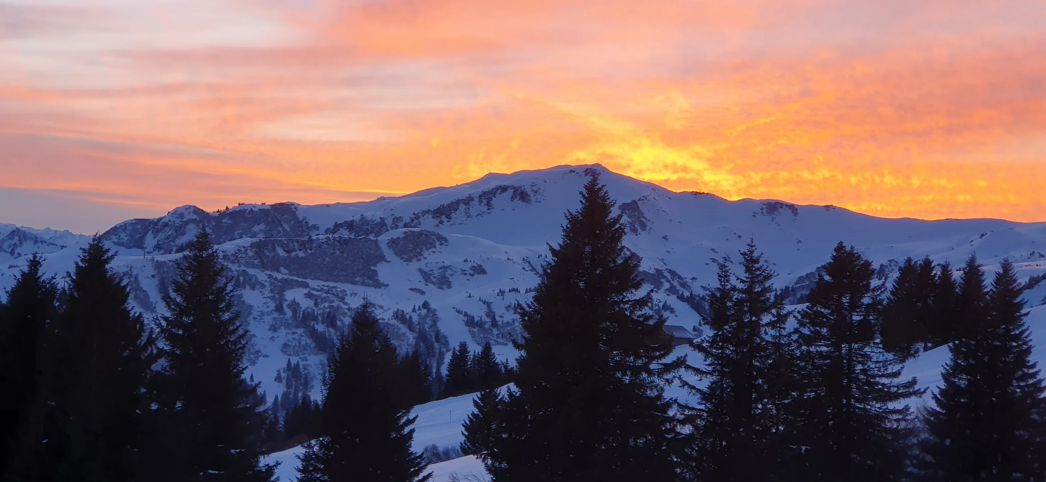 Wolfram Müller | © Wolfram Müller