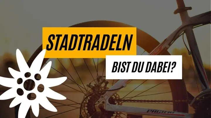 Ellinger | © Ellinger