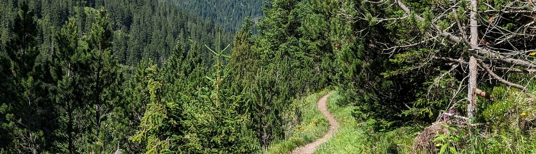 BG Oberndorf | © Anna DReßel