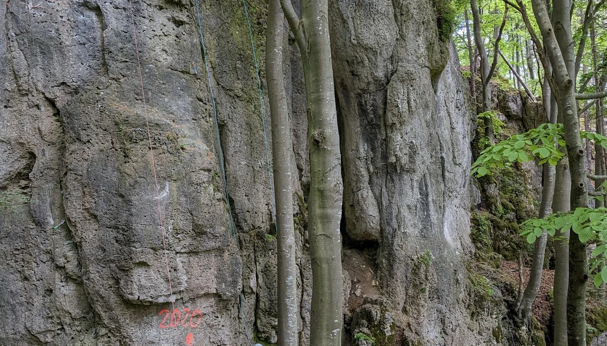 BG O | © Dreßel