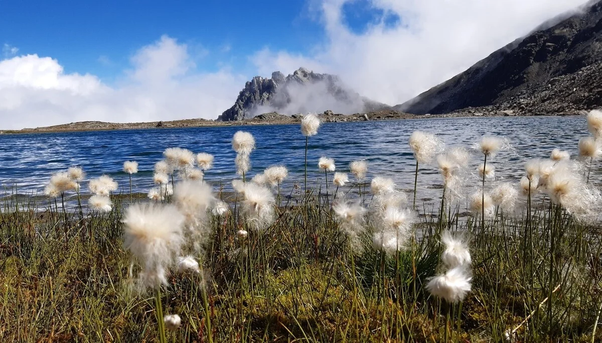BG Oberndorf | © BG Oberndorf