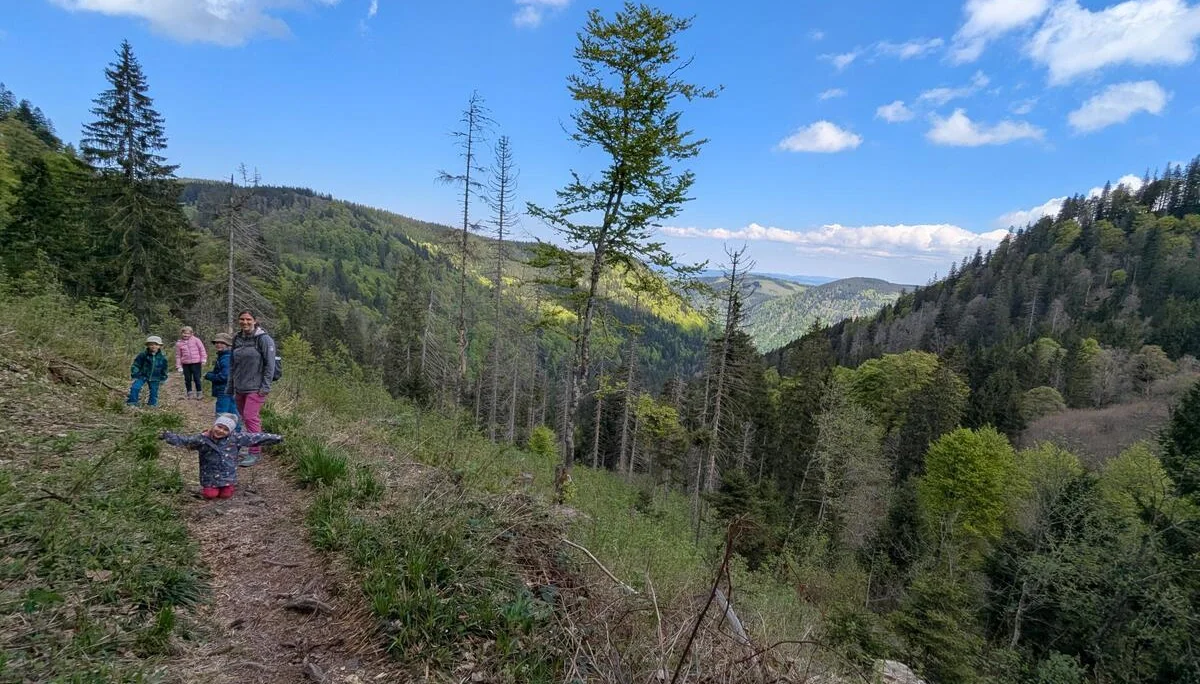 BG Oberndorf | © BG Oberndorf