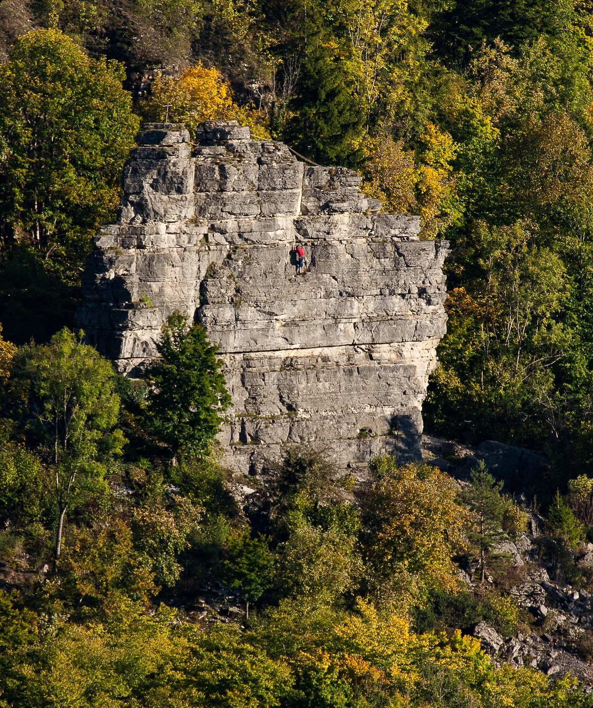 BG O | © David Hütter