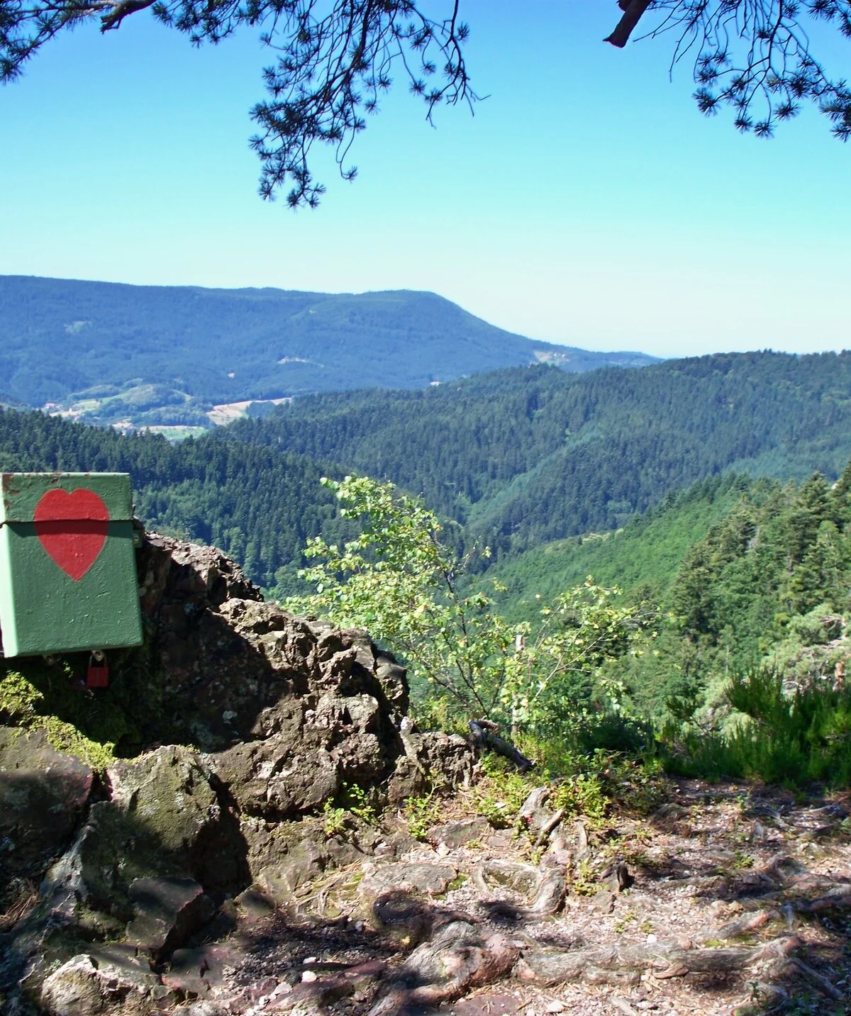 BG O | © Anna Dreßel