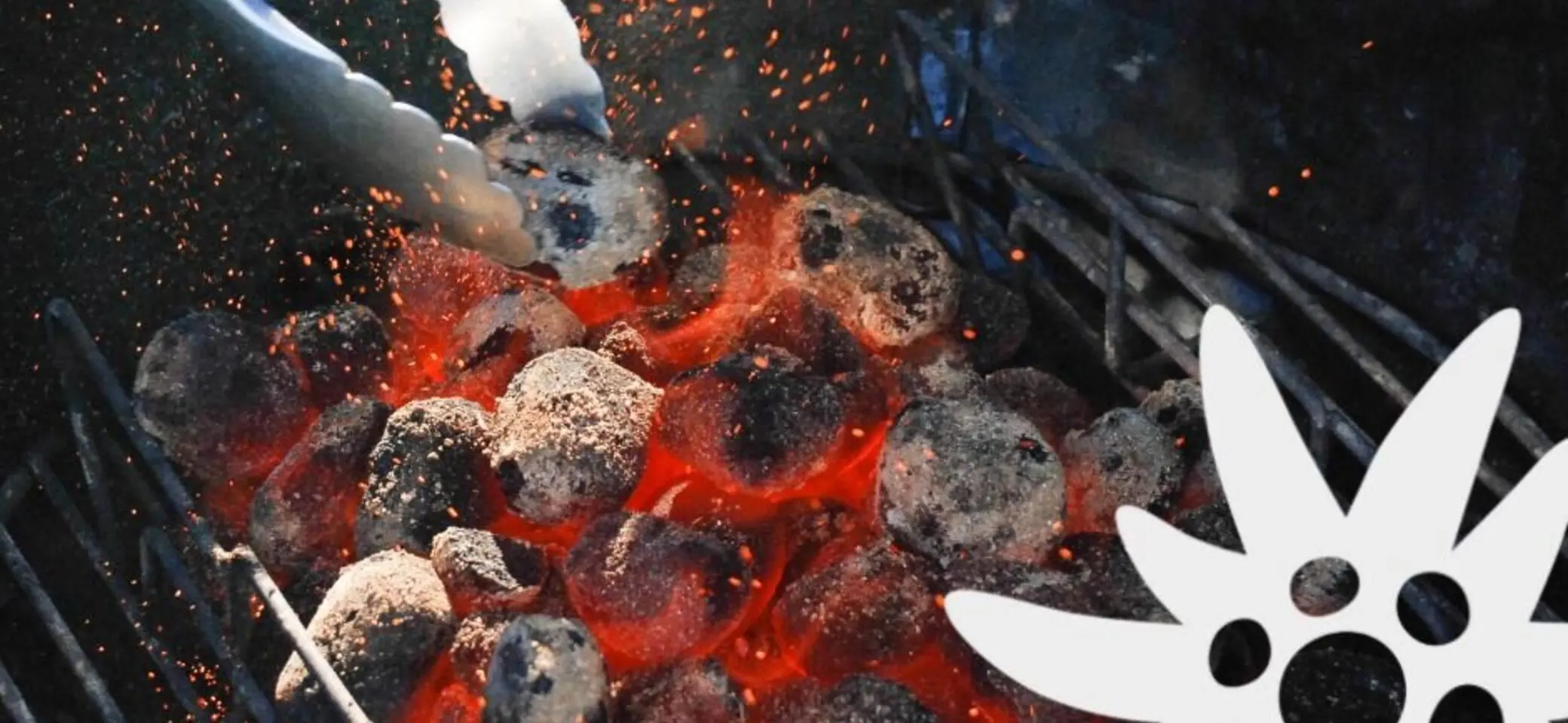 J. Ellinger | © J. Ellinger