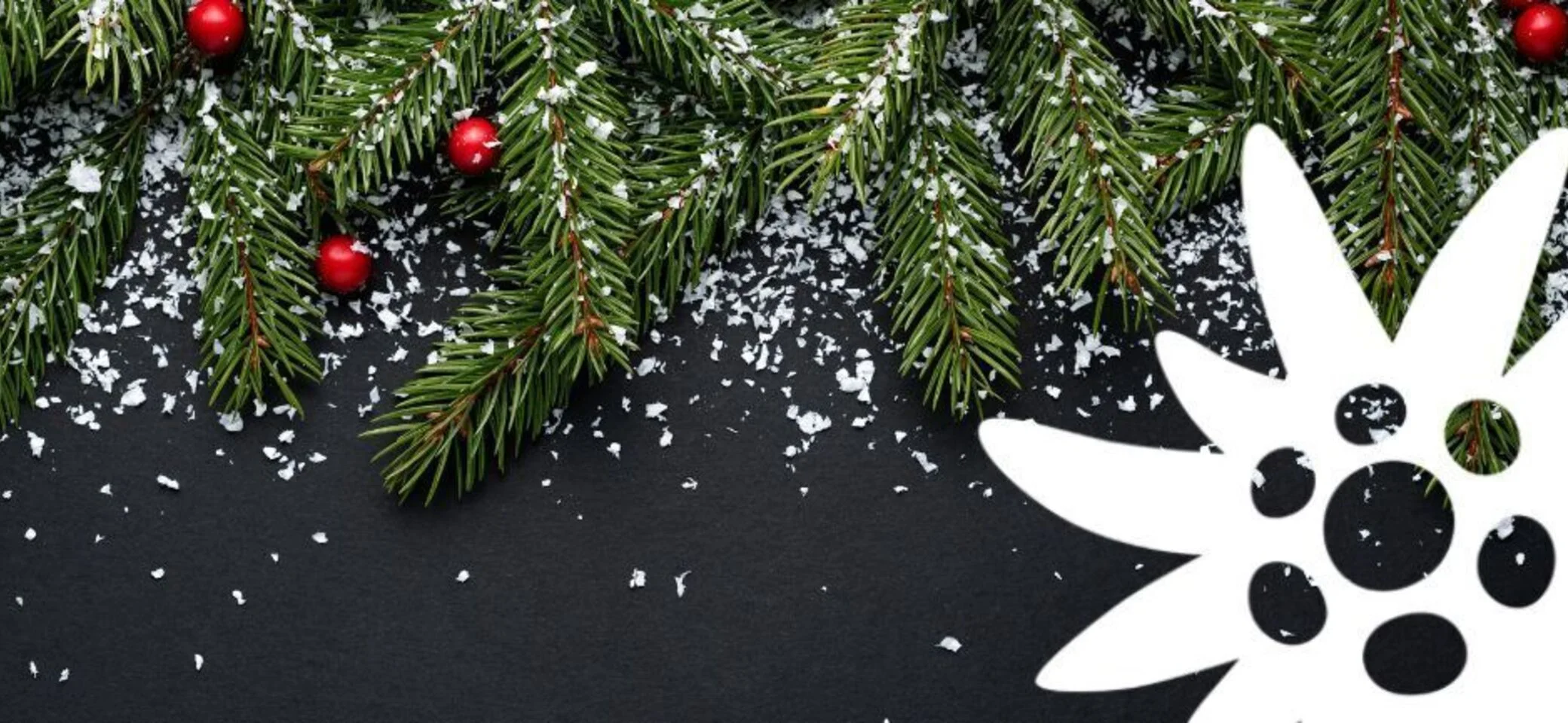 J. Ellinger | © J. Ellinger