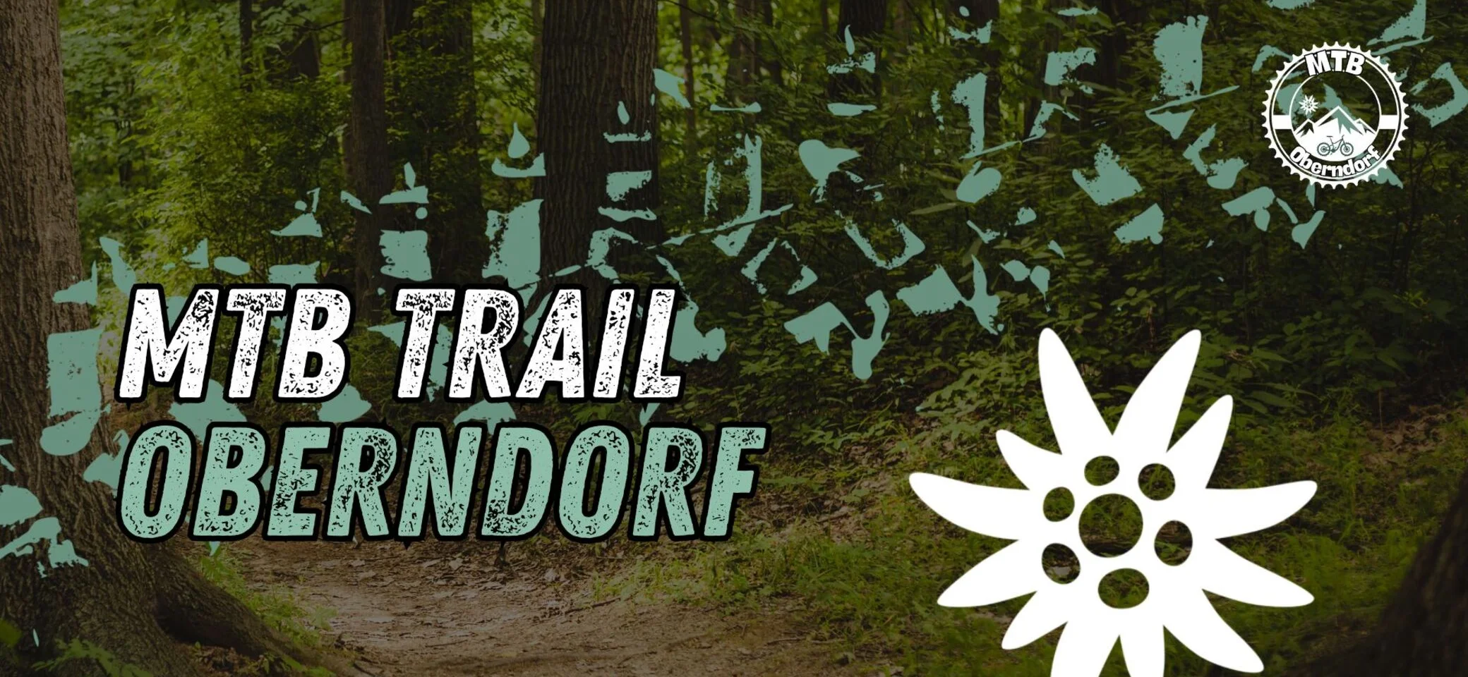 J. Ellinger | © J. Ellinger J. Ellinger | © J. Ellinger