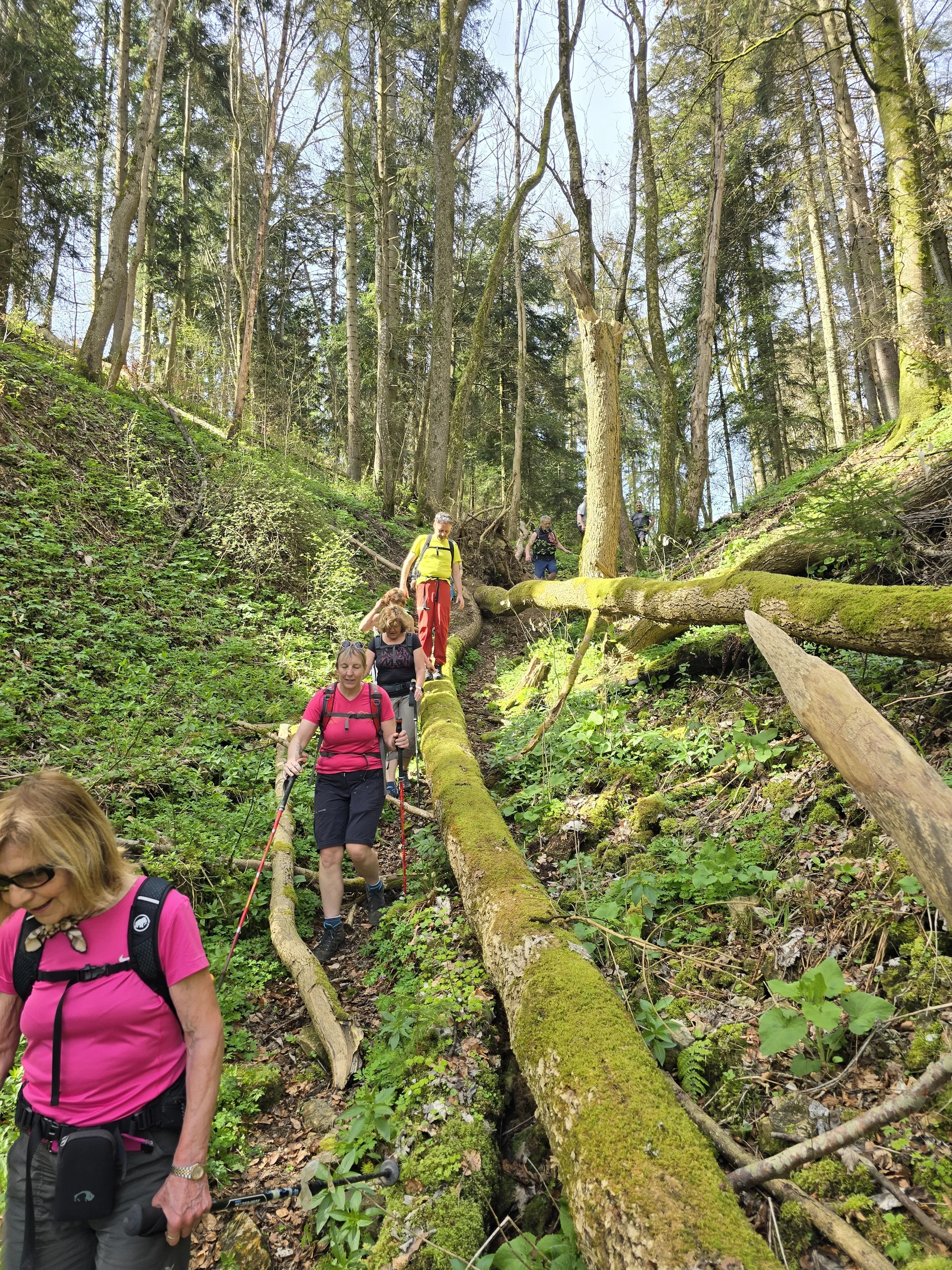 BG Rottweil | © BG Rottweil