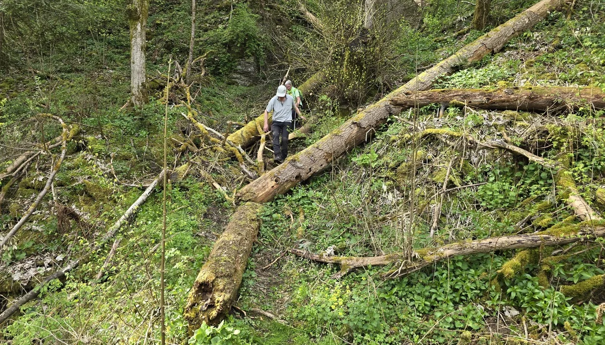 BG Rottweil | © BG Rottweil