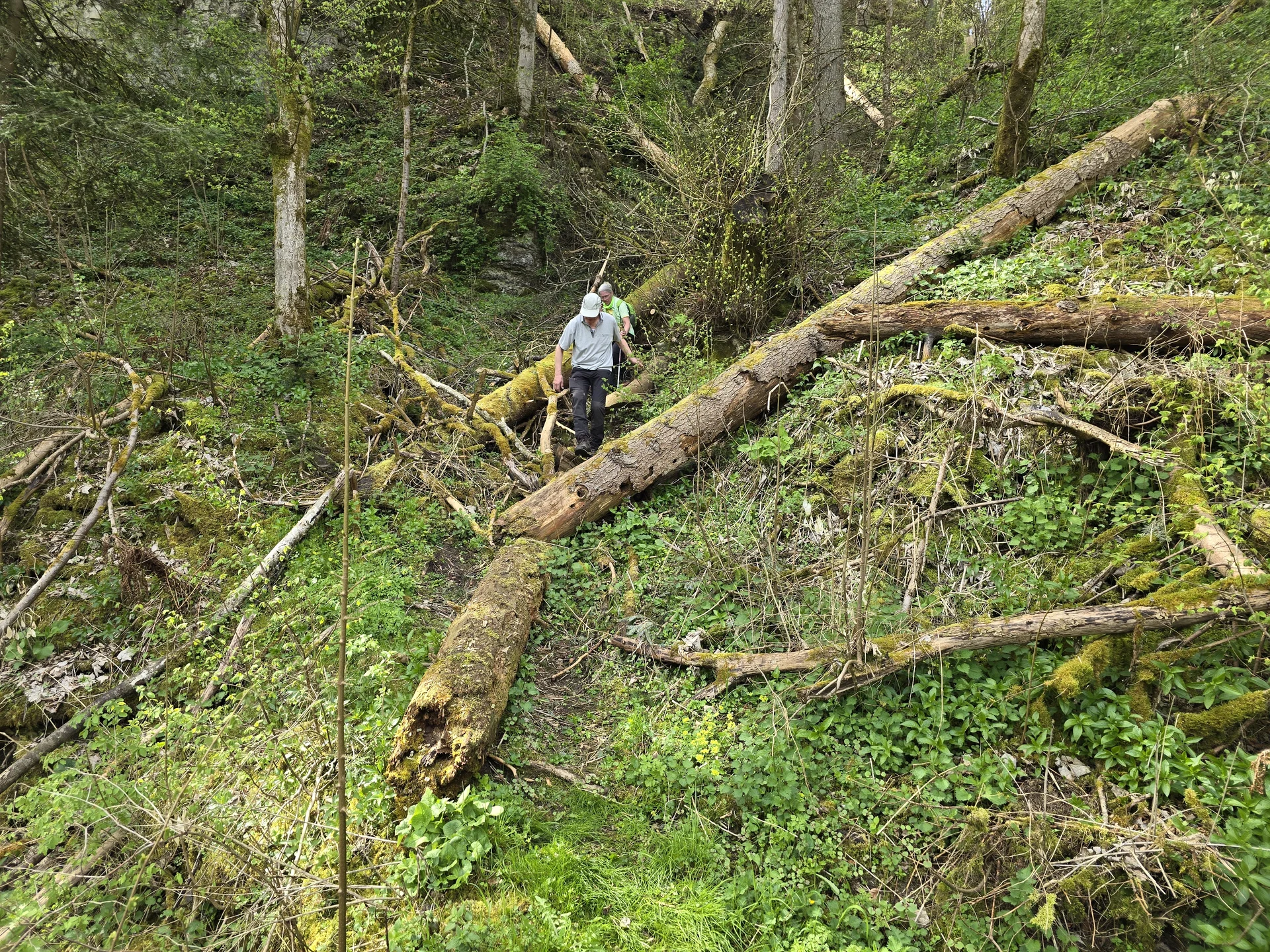 BG Rottweil | © BG Rottweil