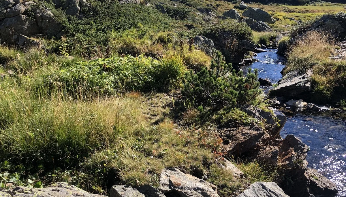 BG Rottweil | © BG Rottweil