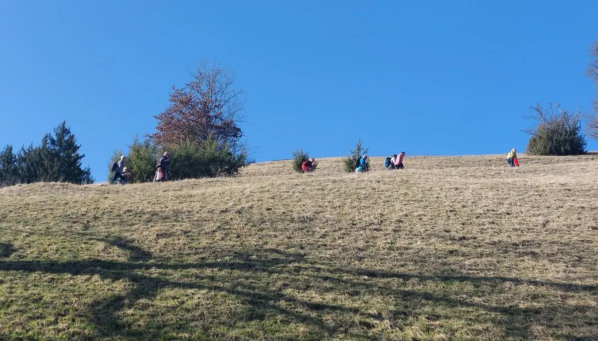 Oberhalb der Eschach | © Michael Cieminski