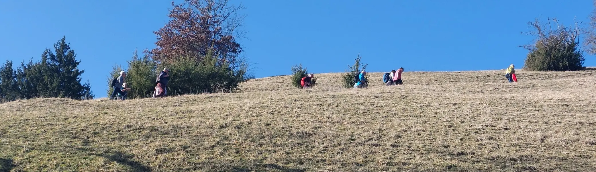 Oberhalb der Eschach | © Michael Cieminski
