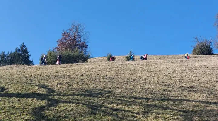 Oberhalb der Eschach | © Michael Cieminski
