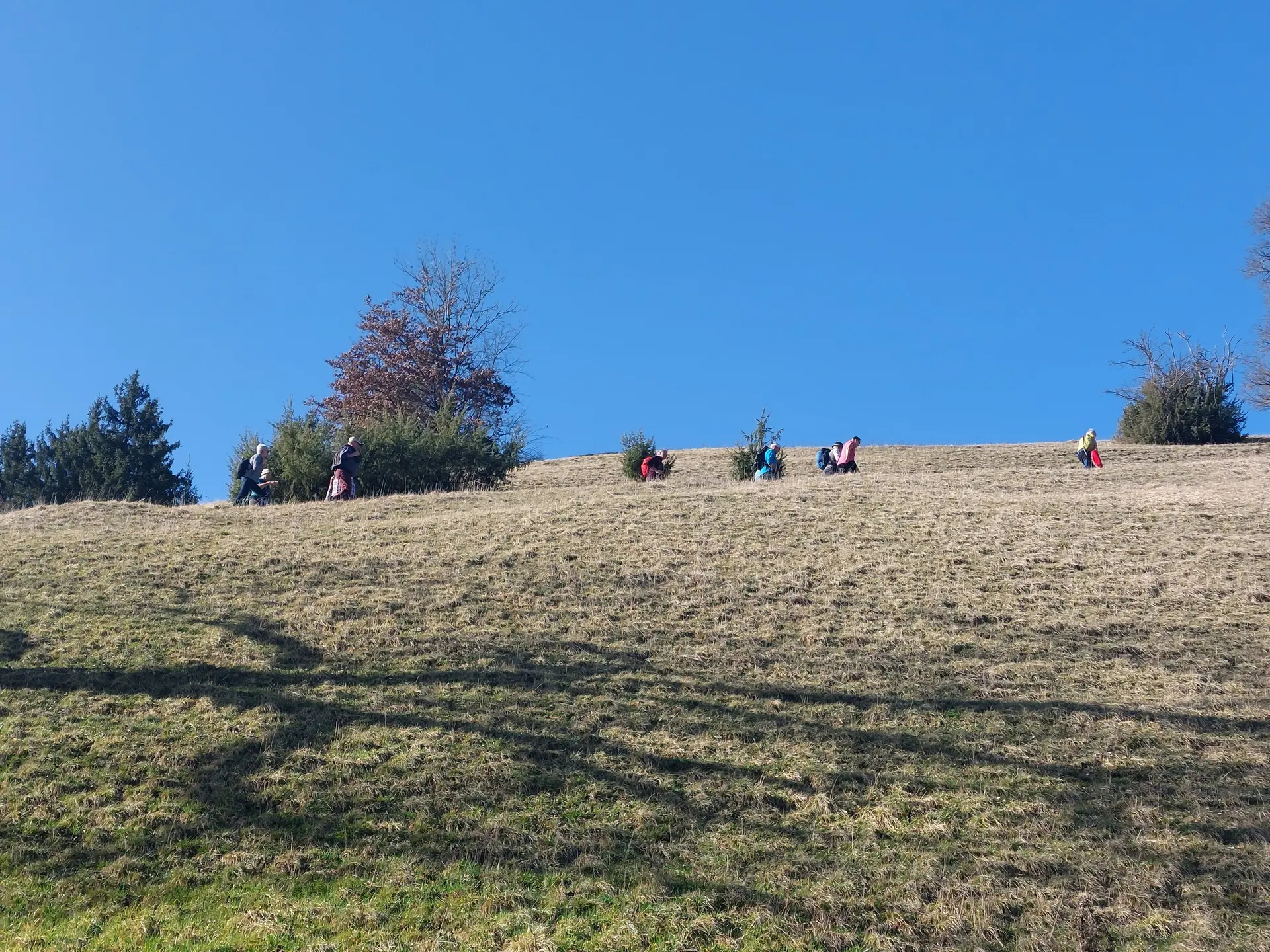Oberhalb der Eschach | © Michael Cieminski