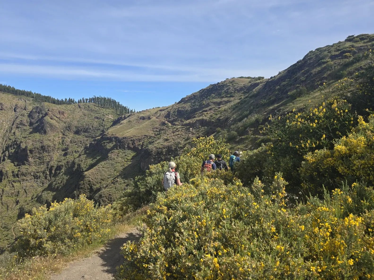 Gran Canaria 8 | © BG RW