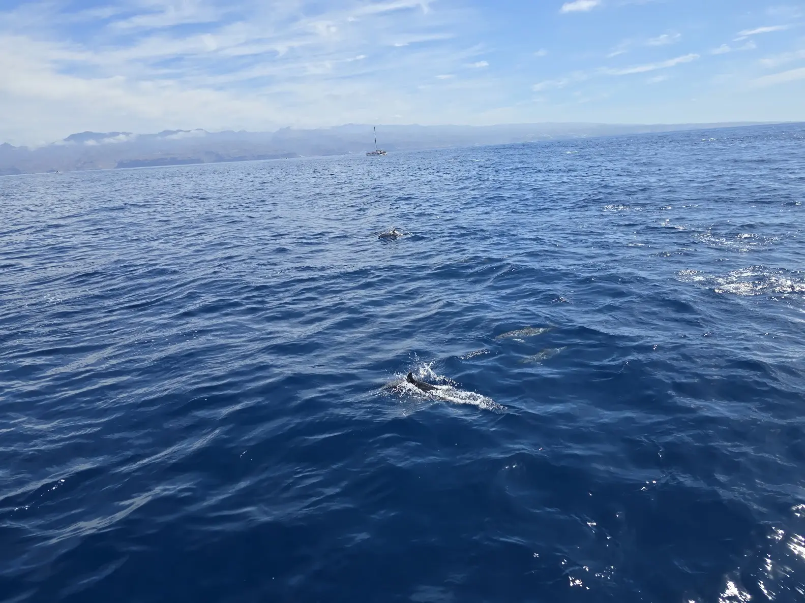 Gran Canaria 4 | © BG RW