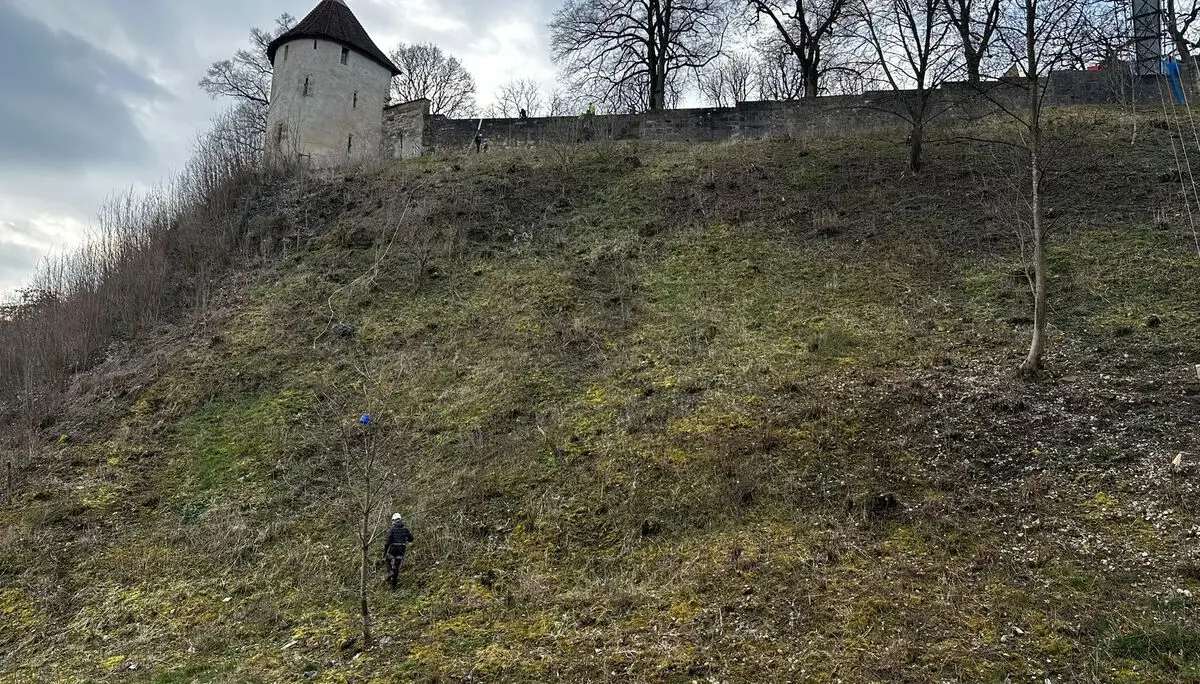 Stadtputzede 1 | © BG RW