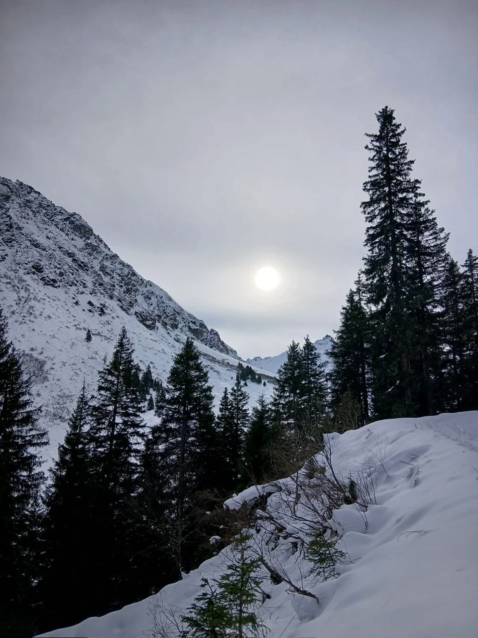 Madrisahütte BG RW 2025 | © Markus Hugger