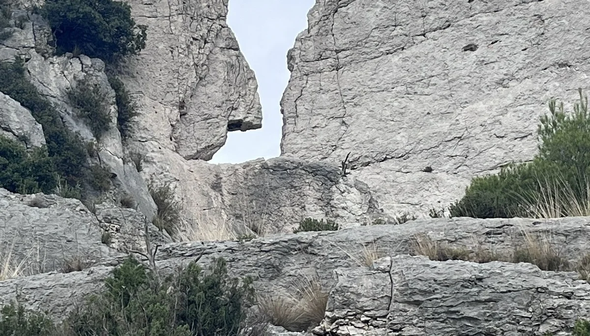 Kletterherbstfahrt | © Michael King