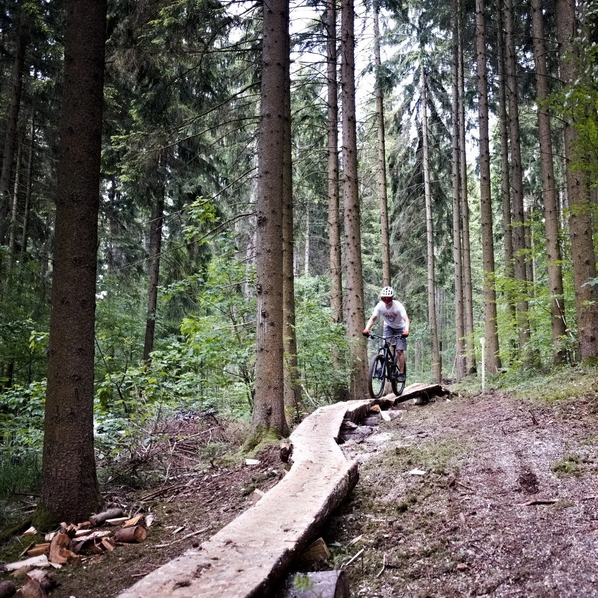 © MTB Spaichingen