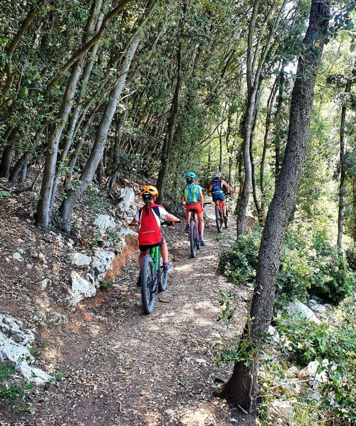 © MTB Spaichingen