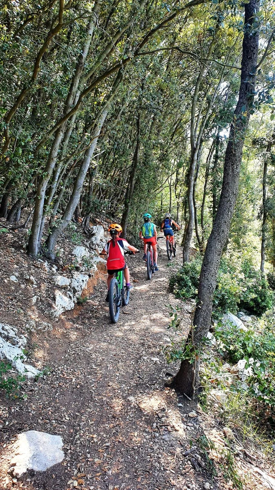 © MTB Spaichingen