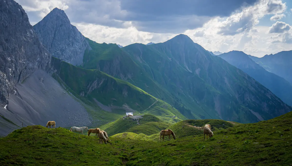 Pferde Anhalter Hütte | © Angelika Grünauer