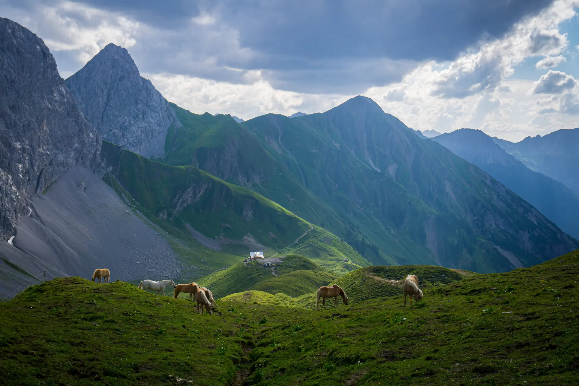 Pferde Anhalter Hütte | © Angelika Grünauer