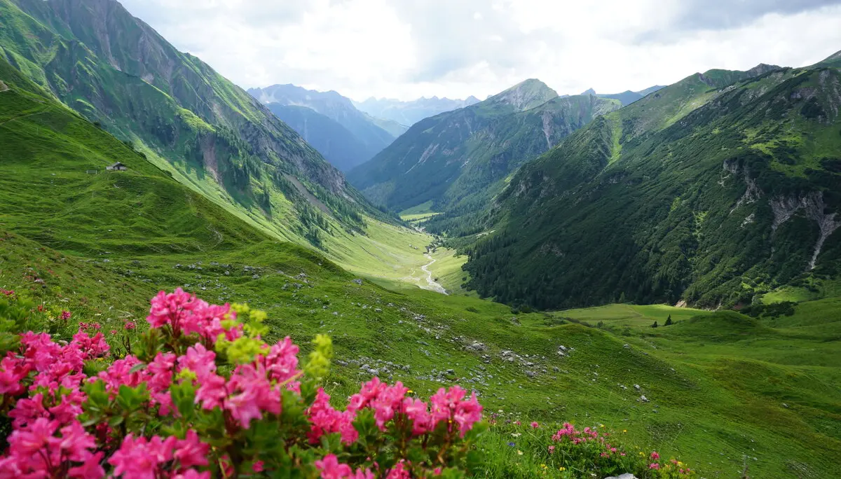 Plötzigtal von Anhalter Hütte | © Angelika Grünauer