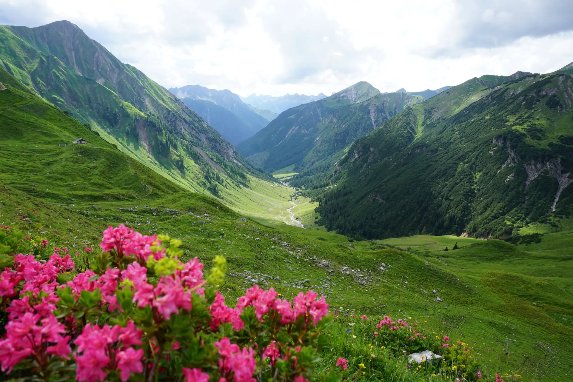 Plötzigtal von Anhalter Hütte | © Angelika Grünauer