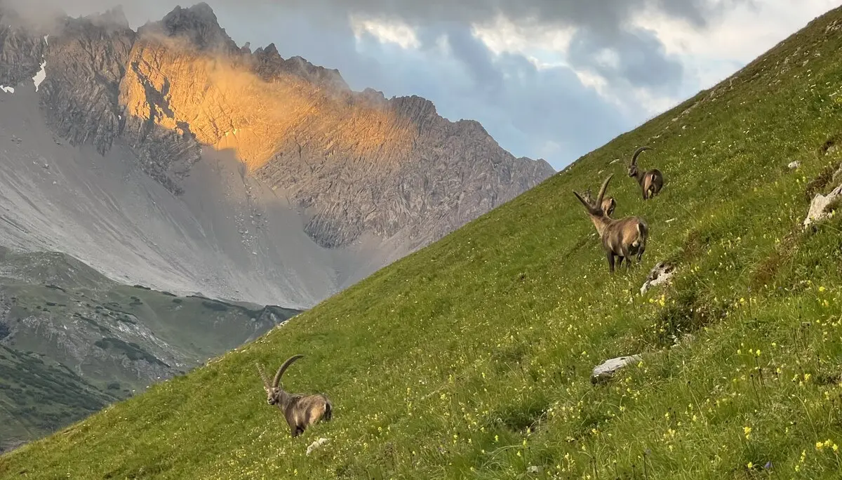 Sundwowner | © S. Wolf 