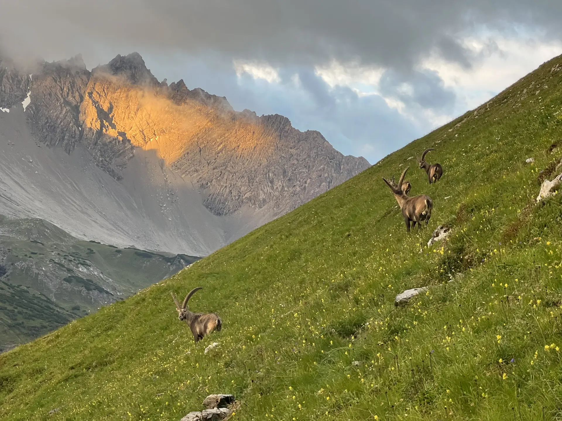 Sundwowner | © S. Wolf 