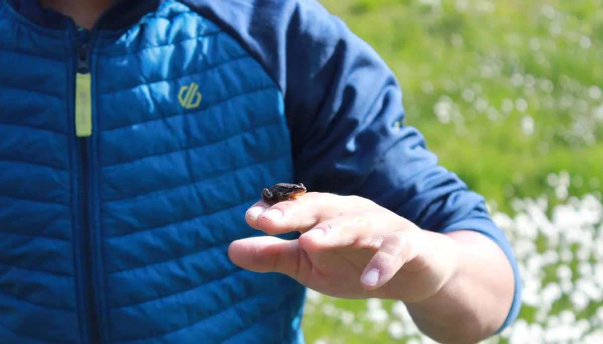 JDAV Spaichingen | © JDAV Spaichingen