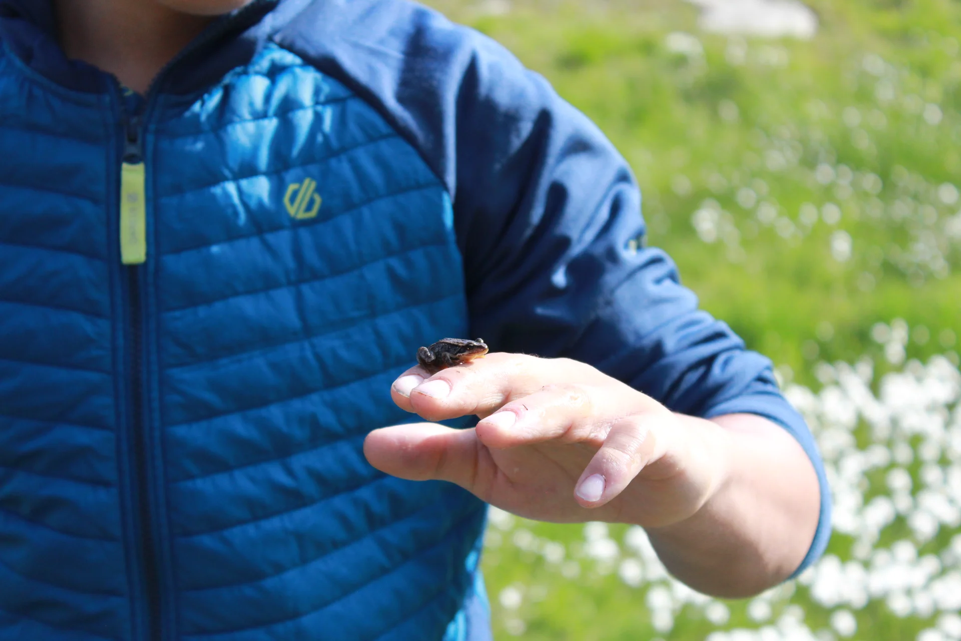 JDAV Spaichingen | © JDAV Spaichingen