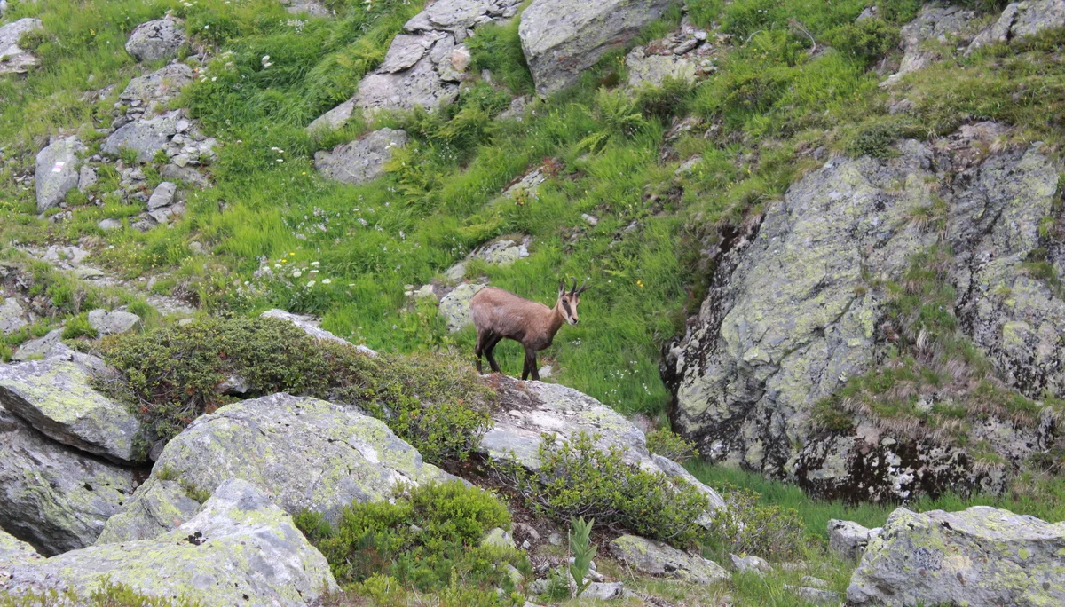 JDAV Spaichingen | © JDAV Spaichingen