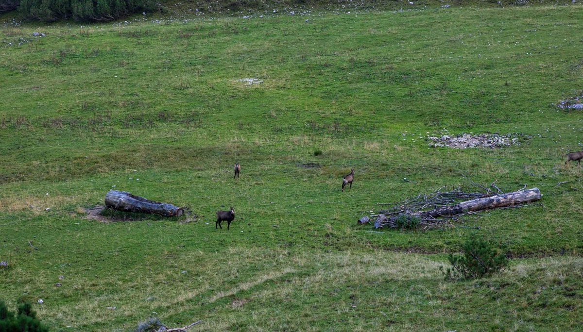 JDAV Spaichingen | © JDAV Spaichingen