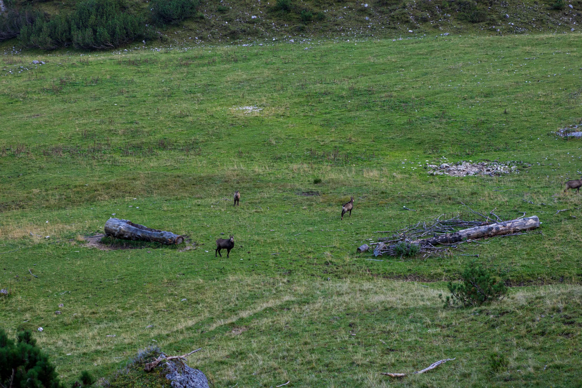 JDAV Spaichingen | © JDAV Spaichingen