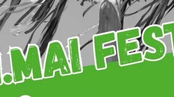 Maifest | © Benjamin Haller